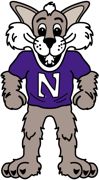 Northwestern Wildcats 1998-Pres Mascot Logo iron on transfers for fabric